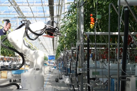 Denso Corporation invierte en robotizar el sector Agrícola